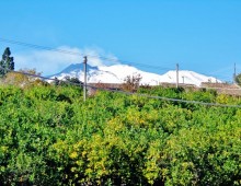 Casetta indipendente con splendida terrazza panoramica e 1500 mq circa di terreno