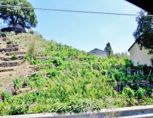 Rustico con palmento,2500 di terreno coltivato a vigneto doc accanto alla villa del grandissimo maestro BATTIATO