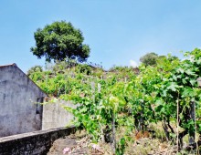 Rustico con palmento,2500 di terreno coltivato a vigneto doc accanto alla villa del grandissimo maestro BATTIATO