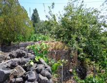 Rustico con palmento,2500 di terreno coltivato a vigneto doc accanto alla villa del grandissimo maestro BATTIATO