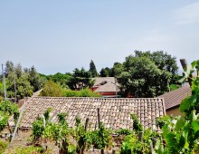 Rustico con palmento,2500 di terreno coltivato a vigneto doc accanto alla villa del grandissimo maestro BATTIATO