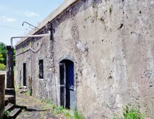 Rustico con palmento e 500 mq di terreno