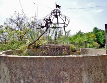 Rustico con palmento e 500 mq di terreno