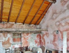 Rustico con palmento e 500 mq di terreno