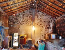 Rustico con palmento e 500 mq di terreno