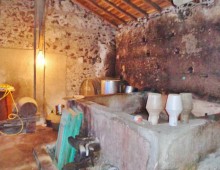 Rustico con palmento e 500 mq di terreno