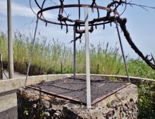 Rustico con palmento e 500 mq di terreno