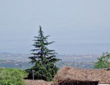 Rustico con palmento e 500 mq di terreno