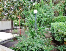 Graziosa casetta indipendente di 60 mq circa