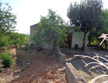 10000 mq di terreno prevalente agrumeto ed altri alberi da frutto in zona panoramica