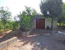 10000 mq di terreno prevalente agrumeto ed altri alberi da frutto in zona panoramica