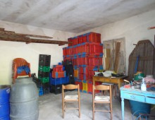 10000 mq di terreno prevalente agrumeto ed altri alberi da frutto in zona panoramica