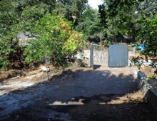 10000 mq di terreno prevalente agrumeto ed altri alberi da frutto in zona panoramica