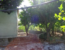 10000 mq di terreno prevalente agrumeto ed altri alberi da frutto in zona panoramica