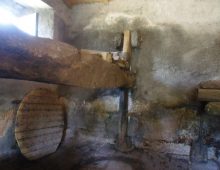 Casetta singola con palmento e terreno coltivato con ulivi e alberi da frutto