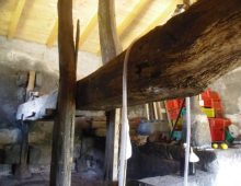Casetta singola con palmento e terreno coltivato con ulivi e alberi da frutto