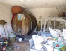 Casetta singola con palmento e terreno coltivato con ulivi e alberi da frutto