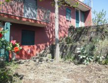 Casetta singola con palmento e terreno coltivato con ulivi e alberi da frutto