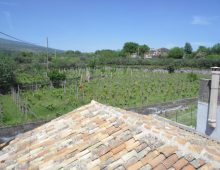 Casetta singola con palmento e terreno coltivato con ulivi e alberi da frutto
