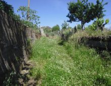 Casetta singola con palmento e terreno coltivato con ulivi e alberi da frutto
