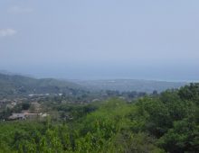 Casetta singola con palmento e terreno coltivato con ulivi e alberi da frutto