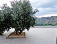 Ricercata casetta immersa nel verde alle pendici dell’Etna