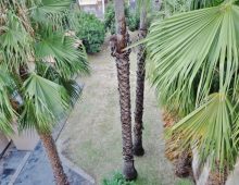 Ampia e luminosa mansarda in antico e signorile palazzo totalmente ristrutturato