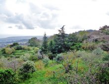 Piccola casetta prefabbricata con 2000 mq di terreno e meravigliosa vista mare