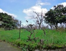 Piccola casetta prefabbricata con 2000 mq di terreno e meravigliosa vista mare
