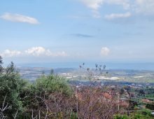 Piccola casetta prefabbricata con 2000 mq di terreno e meravigliosa vista mare