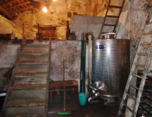 Terreno con rustico e palmento