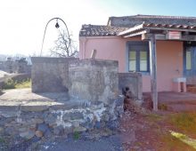 Terreno con rustico e palmento