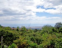 Ampio terreno di 5 ettari con fabbricati