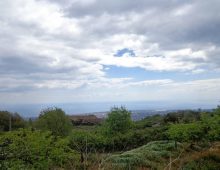 Ampio terreno di 5 ettari con fabbricati