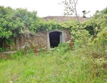 Ampio terreno di 5 ettari con fabbricati