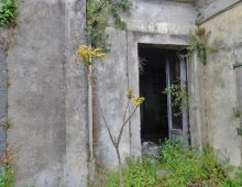 Ampio terreno di 5 ettari con fabbricati