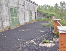 Ampio terreno di 5 ettari con fabbricati