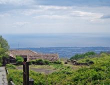 Ampio terreno di 5 ettari con fabbricati