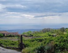 Ampio terreno di 5 ettari con fabbricati