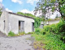 Ampio terreno di 5 ettari con fabbricati