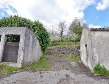 Ampio terreno di 5 ettari con fabbricati