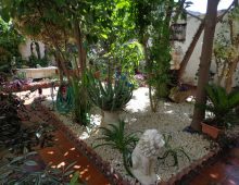 Ampia casa Indipendente a pochi passi dal centro