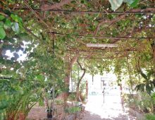 Casa indipendente con 300 mq di giardino