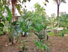 Casa indipendente con 300 mq di giardino