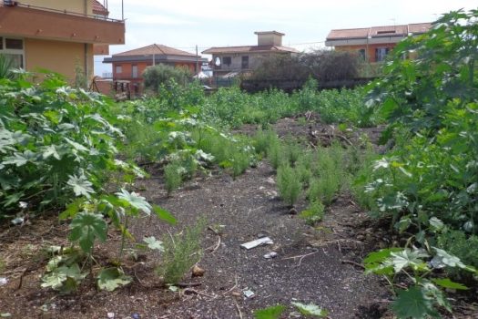 Terreno edificabile in zona in via d’espansione