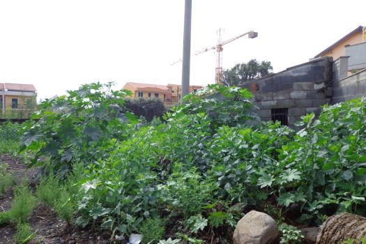 Terreno edificabile in zona in via d’espansione