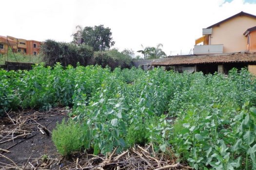 Terreno edificabile in zona in via d’espansione