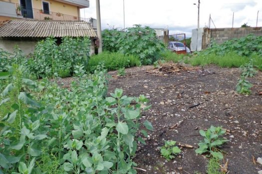 Terreno edificabile in zona in via d’espansione