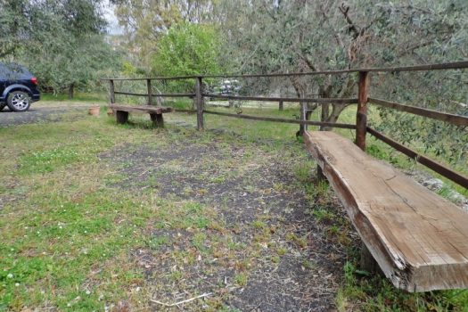 2800 mq di terreno pianeggiante con uliveto e diversi alberi da frutto