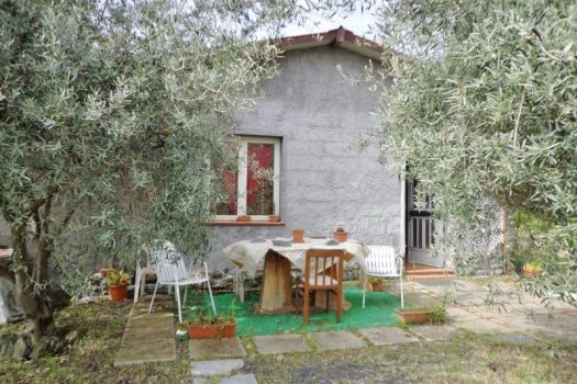 2800 mq di terreno pianeggiante con uliveto e diversi alberi da frutto
